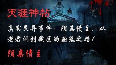 抖阴苏清士：揭秘其背后的故事与影响力研究