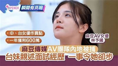 潘南奎麻豆传媒最新作品解析与观众反馈探讨