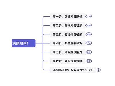 深入解析抖音短视频运营策略与成功案例分享