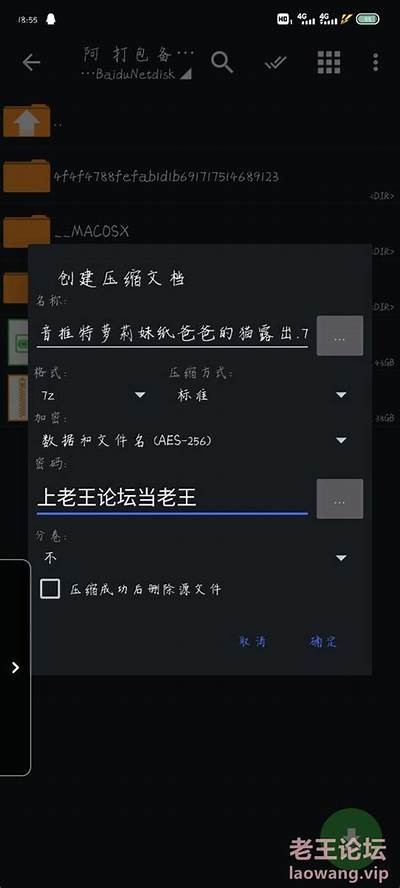 猫咪网盘：破解抖阴验证码的简单方法与技巧
