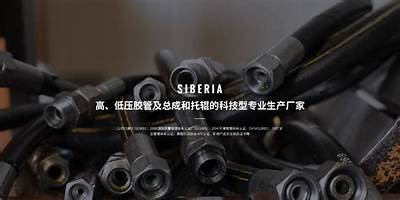 麻豆视传媒：在线官方黄版服务，尽享高清视频内容！