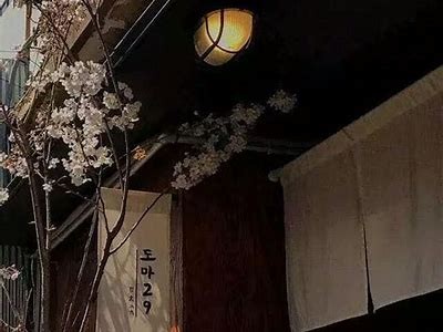 抖阴非彼：探索当下热门短视频平台的独有魅力与发展动向