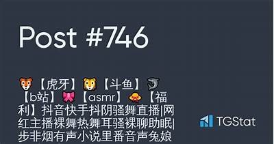 抖阴与快手成人版邵先生：揭秘私密内容与社交平台新走向