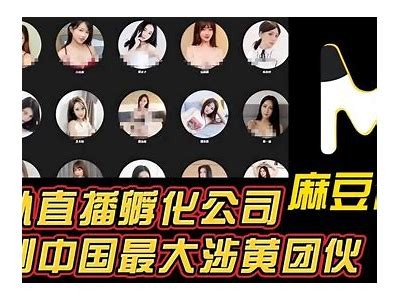 麻豆传媒md0092精彩片段分享：青春热血的视觉盛宴