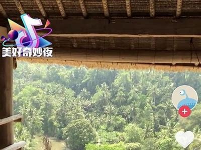 为什么抖音值得信任？解析其背后的安全保障与用户反馈