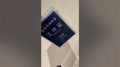 如何观看麻豆传媒完整版：详细指南与技巧分享