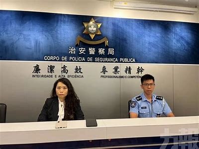 探索V麻豆文化传媒映画：引领潮流的影视盛宴与多样化内容体验