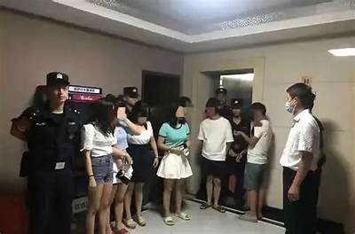 麻豆传媒映画被禁的动因及影响广泛研究